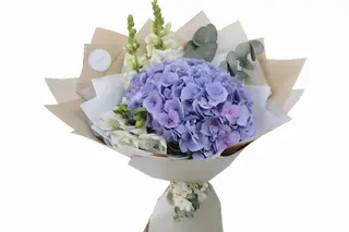Hydrangea bunch