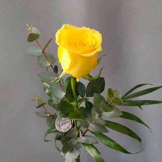 Rosa amarilla Unidad