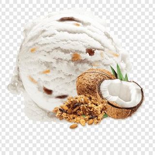 Helado de Coco (500 ml.)