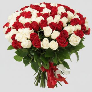 101 червона і біла троянда