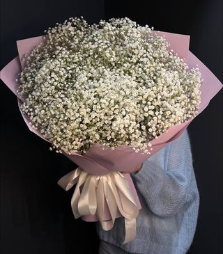 25 гілок білої гіпсофіли в упакуванні №15