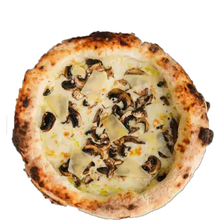 FUNGHI         
