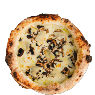  FUNGHI         