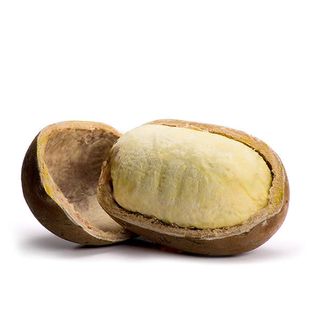 Cupuaçu