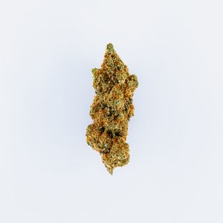 Gelonade 2G - Indoor