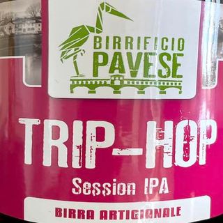 Trip Hop Session IPA gluten free 33 cl