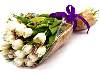 Lalele albe si frezi 