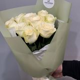 9 trandafiri albi olandezi 60 cm