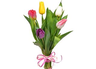 Микс лалета 5 бр