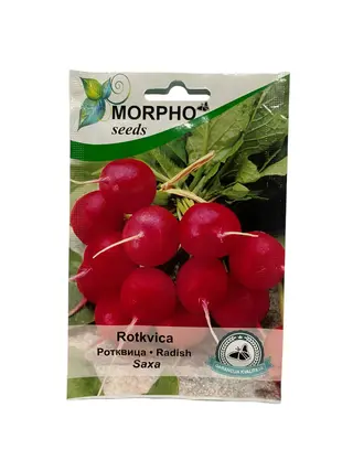 Rotkvica Saxa