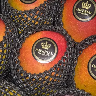Mango Lotnicze - 1szt