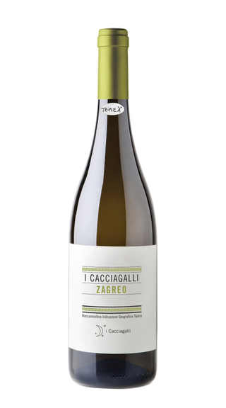Fiano in anfora Zagreo ”Roccamonfina IGT” - I Cacciagalli  "VINI NATURALI"