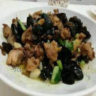 332. Pollo Con Oreja De Árbol