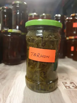 Tarhon saramura