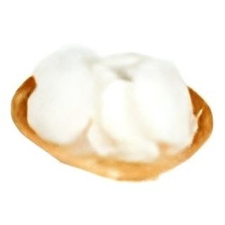 203 Nuvolette di gamberi