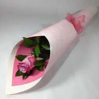 Rosa Rosa Unidad