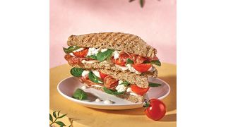 Tost z salami Milano 280g