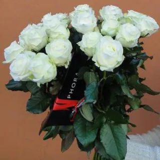 Bukiet z 20 Białych Róż 