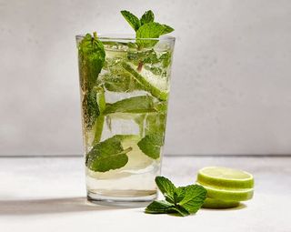 Мохiто драйвер (460мл)