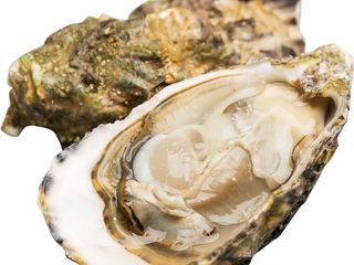 Санчез #4 (Іспанія)