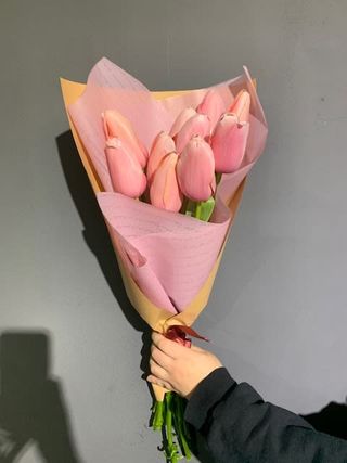 ვარდისფერი ტიტები 10 ტოტი