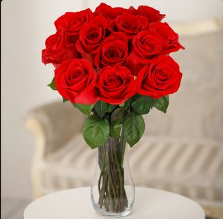 12 Rosas Rojas Premium
