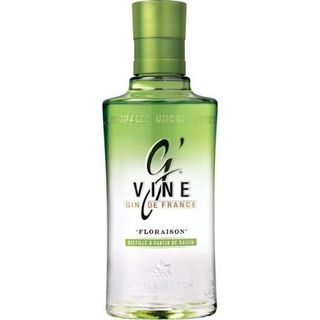Gin G'Vine (FRA)