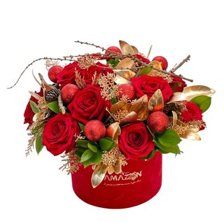 Îndrăgostiți de Crăciun