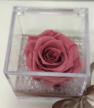 rosa rosata stabilizzata