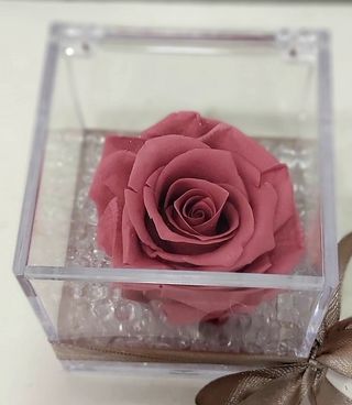 rosa rosata stabilizzata