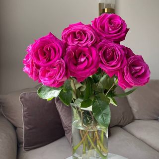 Bouquet de roses fuchsia avec le vase