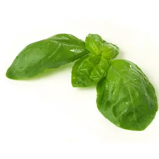 Albahaca Fresca (1 Kg.)