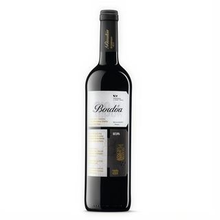 Vino Tinto Rioja Bordón (750 ml.)