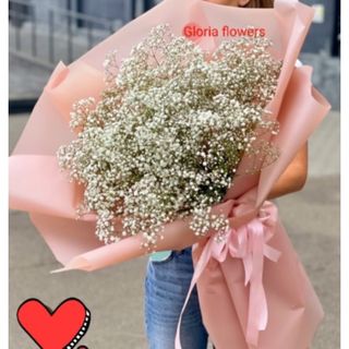 თეთრი გიფსოფილები