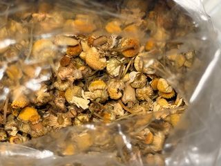 Infusión De Manzanilla