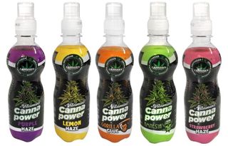 CannaPower