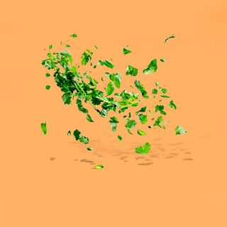 Свіжа зелень 10г