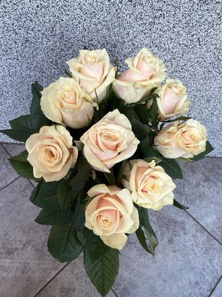 Bukiet z 5 écru róż 