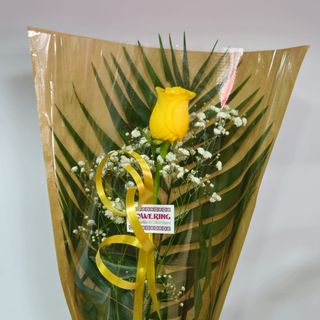 Rosa Amarilla Regalo