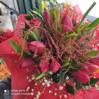 Boutique di tulipani 