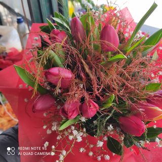 Boutique di tulipani 