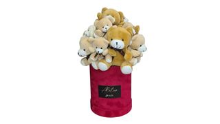 Box Medo mini