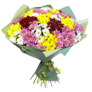 Ramo De Margaritas (Tamaño Premium)