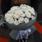 11 гілок хризантеми