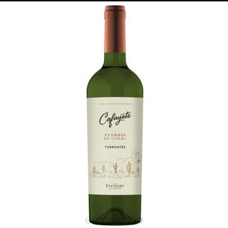 16 Cafayate Terroir de Altura torrontes