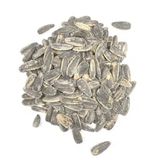 Pipas Grande Con Sal