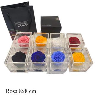 Rosa Joya Con Olor Excelente