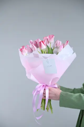 Tulipanes 11 Pink