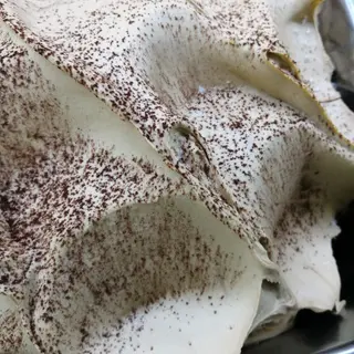 Vaschetta di gelato da 750 g