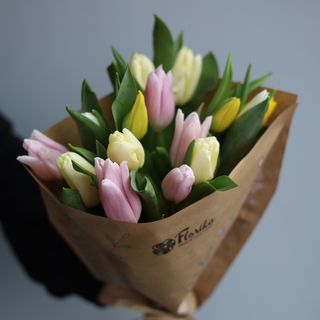 Bukiet z 15 różnokolorowych tulipanów